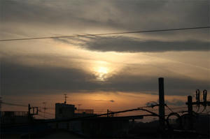 IMG_2147.jpg