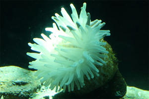 IMG_1598.JPG