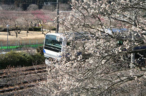 IMG_6877.JPG