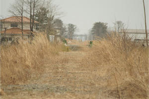 IMG_6590.JPG