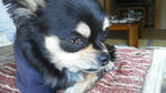 20110513103340.jpg