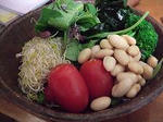 20090204sarad.jpg