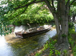 P1050650.jpg