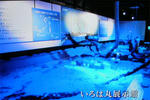 maru-3.jpg