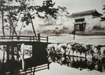nijoujou-furusyasinn.jpg