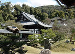 ko-daiji.jpg