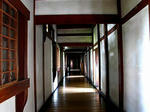 12302d0a.jpeg