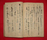 suisei-1.jpg