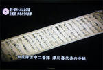 siro-11.jpg