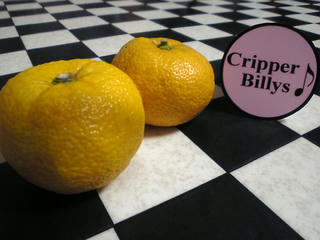 Image209.jpg