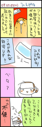 090707.jpg