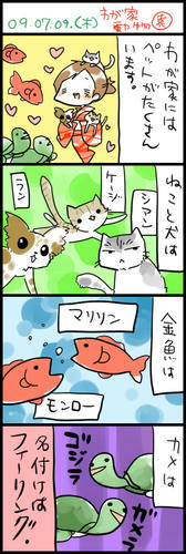 090709.jpg