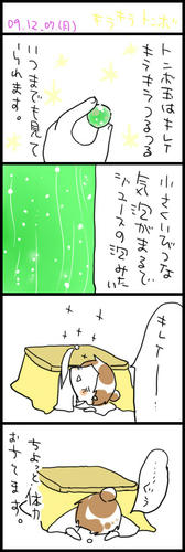 091207.jpg