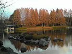 紅葉～落葉