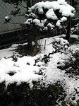 雪ー