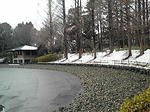 池