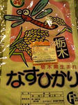 なすひかり