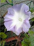 ０９２１春