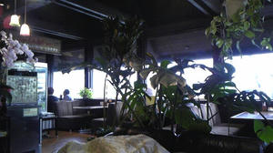 081223_132436.jpg