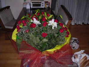 img20070415.jpg