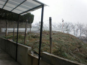 790dc834.jpg
