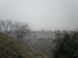 7857b2d9.jpg