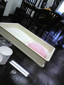 a7c341c0.jpg