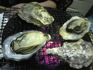 090213_033727.jpg