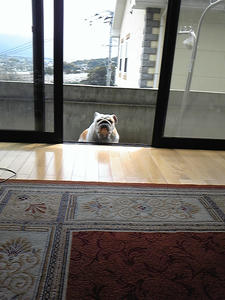090329_120123.jpg