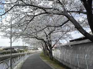 090325_101043.jpg