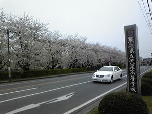 b4e6842e.jpg