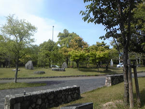 f723875e.JPG