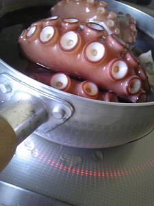 8940b079.JPG