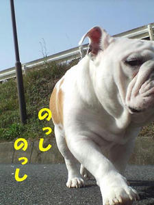 img20070414.jpg