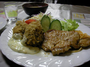 SANY0002.JPG