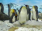 ee26436e.JPG