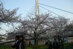 とがのや写真集