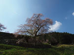 とがのや写真集
