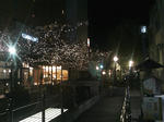 PAP_0172.JPG