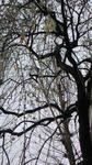 NEC_0032.jpg