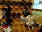 GEDC0213.GIF