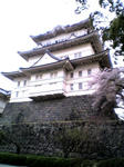 下から見上げるとやっぱり圧巻!