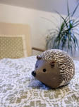 HedgeBergen.JPG