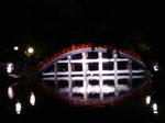 090427_2008~01.jpg