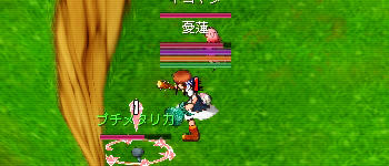 めたりか