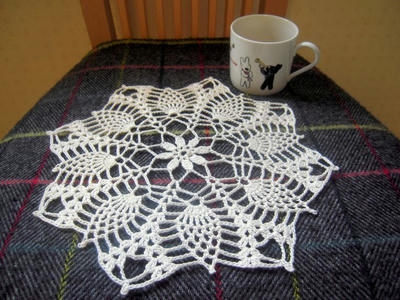 110116doily.JPG
