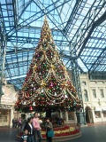 Disney20101203.jpg