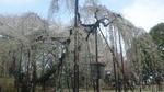 110410.jpg