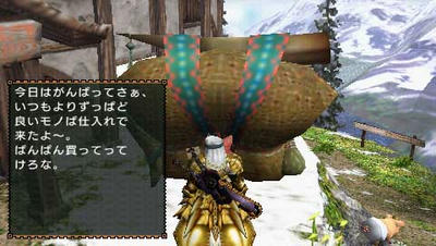 mhp2g46.JPG