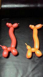 95.jpg